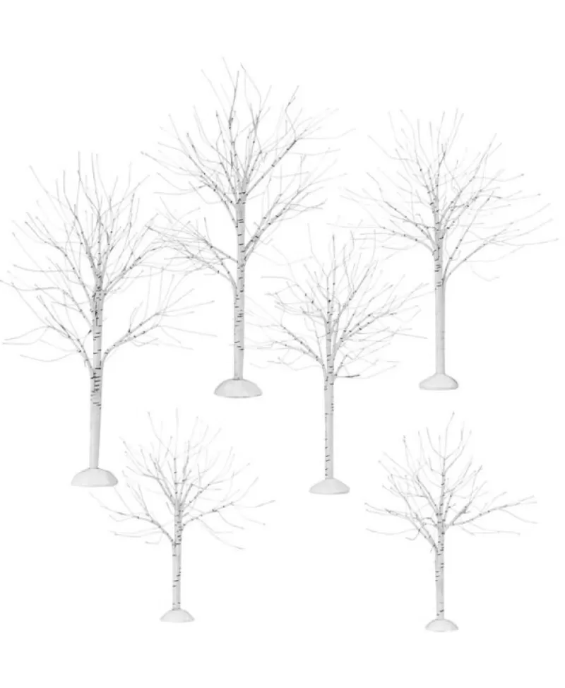 Accessoires De Village<Noel Eternel Arbres Winter Birch Ens De 6 Par Enesco