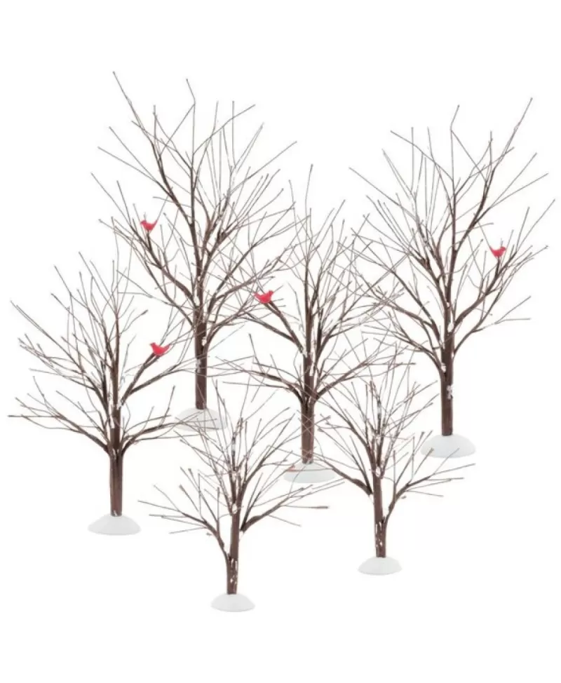 Accessoires De Village<Noel Eternel Bare Branch Trees, Ens. De 6 Par Dept56