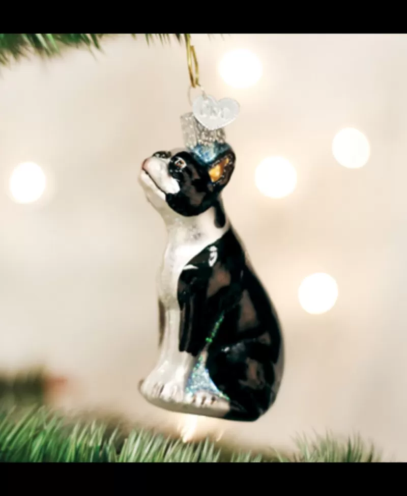 Old World Christmas<Noel Eternel Boston Terrier, Ornement Chien En Verre