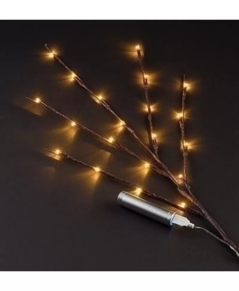 Jeux De Lumières<Noel Eternel Branche 20 Lumières Blanc Chaud Del 30" Usb