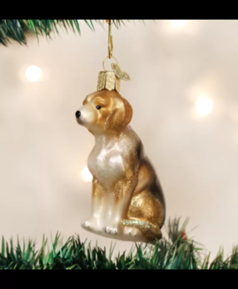 Old World Christmas<Noel Eternel Chien Beagle Ornement De Verre Souffle