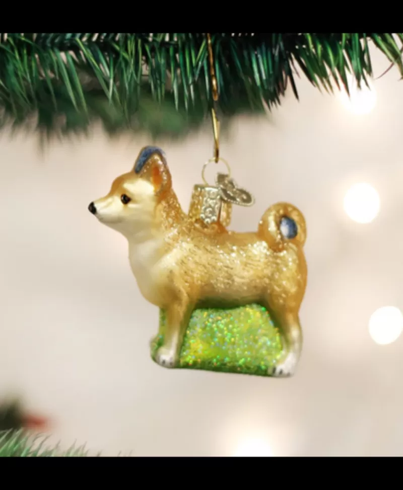 Old World Christmas<Noel Eternel Chihuahua Ornement En Verre